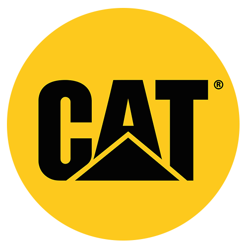 CAT WEB LOGO