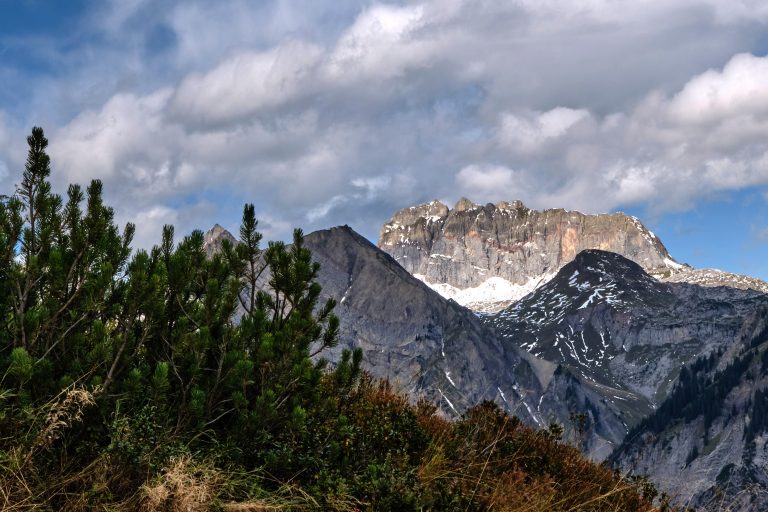 How To Choose The Right Hiking Shoes