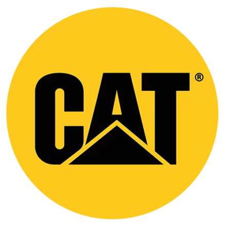 CAT WEB LOGO 1